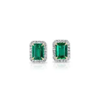  Earrings - main