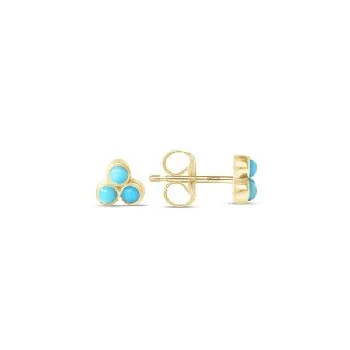  Earrings - main
