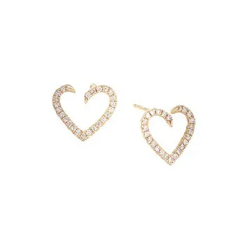 Earrings - main