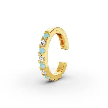  Earrings - main