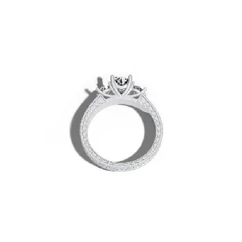  Rings - view 1