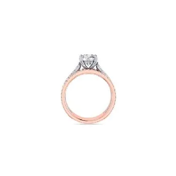  Rings - view 1