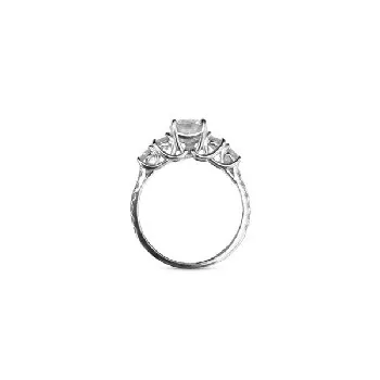  Rings - view 2