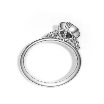 Rings - view 1
